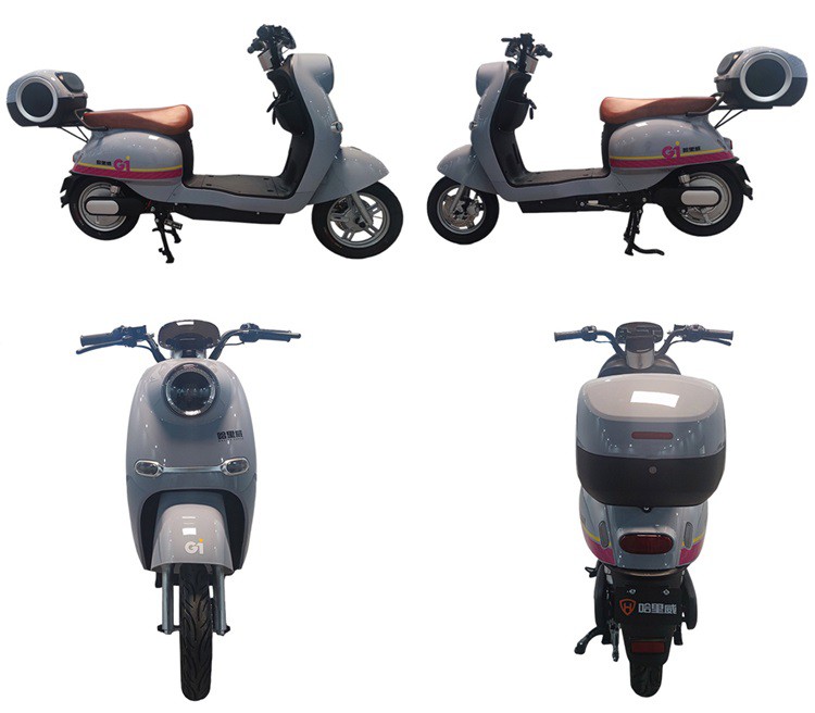 XL-ES16 60V 800W Electric Moped Scooter