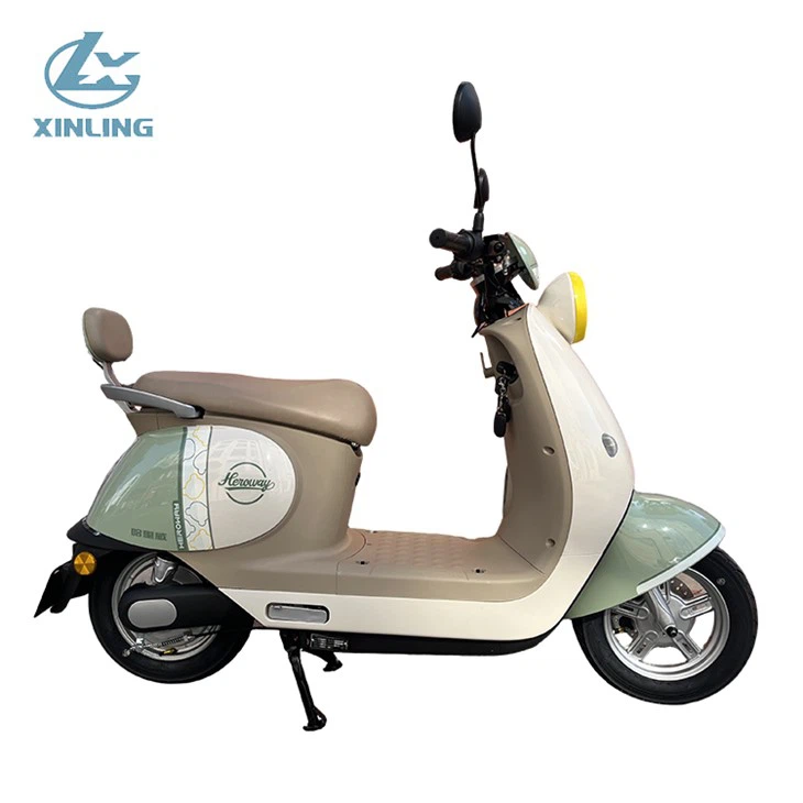 Electric Motorcycle Scooter